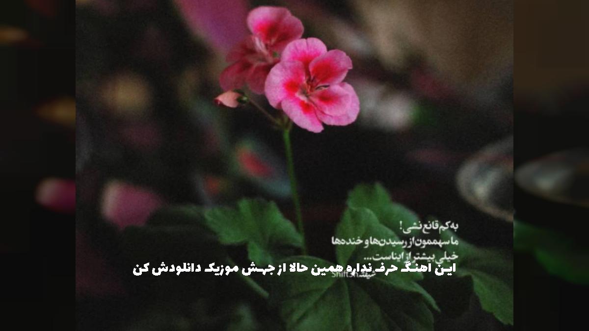 دانلود آهنگ حالا بیا اینجا بیا اینجا بیا اینجا اونجا نه از 